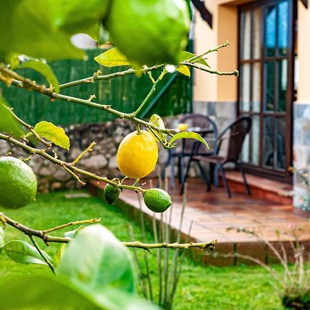 فيلا Casa Sabina Zona De Playa Y Montana يانس المظهر الخارجي الصورة